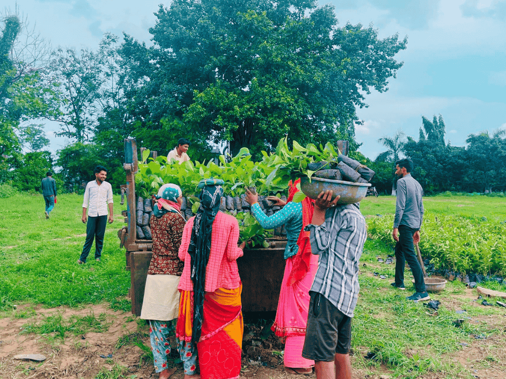 Farmers with saplings