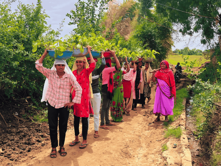 Farmers with saplings