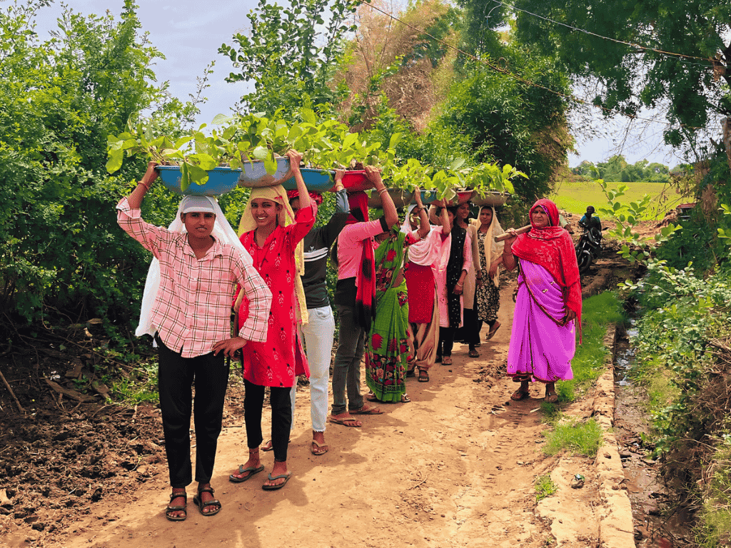 Farmers with saplings