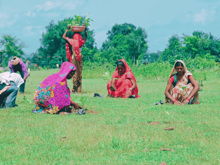 Tree Planting